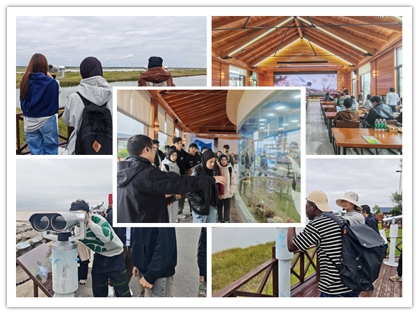 1760946060270282.png 1.1_副本.png